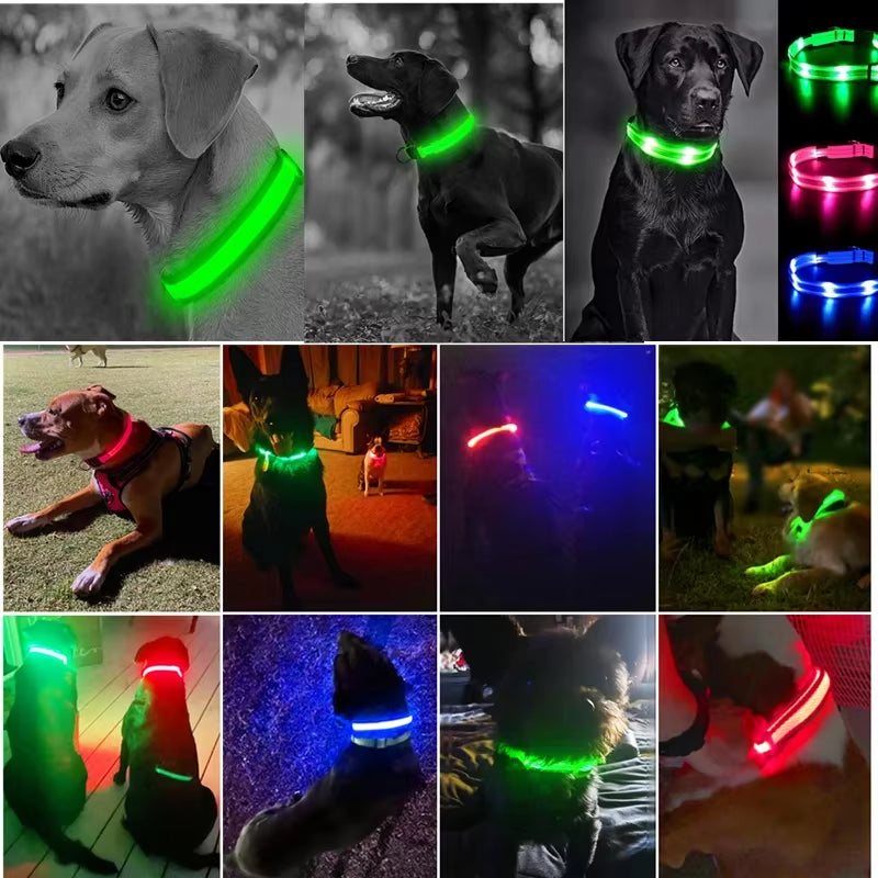 Dog Luminouscollar Anti-Lost Glowing LED Light Pet Collar Collar for Small Medium Large Dogs Collars Leads Safety Necklace