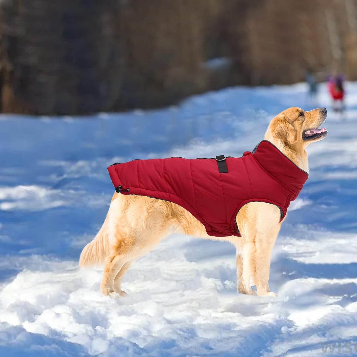 Dog Winter Warm Coat Dog Winter Jacket Windproof Snowproof,Pet Outdoor Jacket Dog Jacket for Small Medium Large Dogs-Red-Xxl